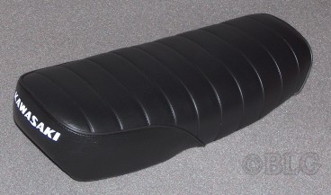 100kawaGA5.jpg