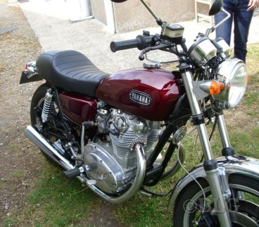 681341772eb0d_650XScafe2.jpg